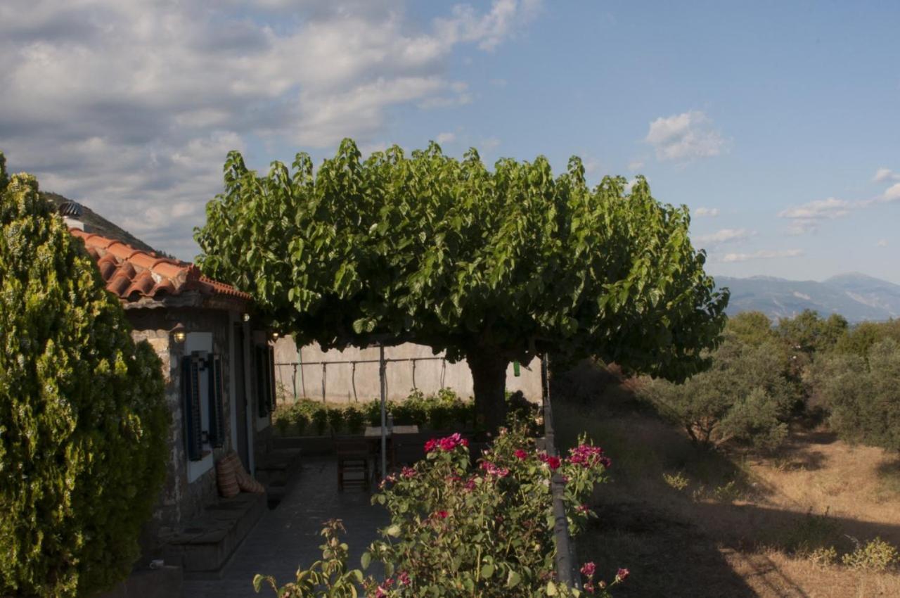 Villa Anna Nafpaktos Bagian luar foto